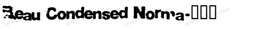 Beau Condensed Norma字体转换